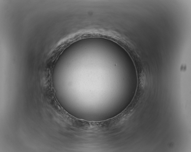 X0000113261494200909171637