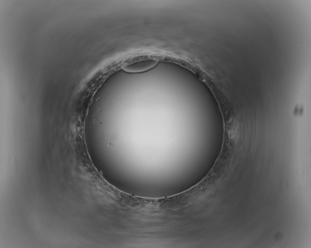 X0000113261495200909171637