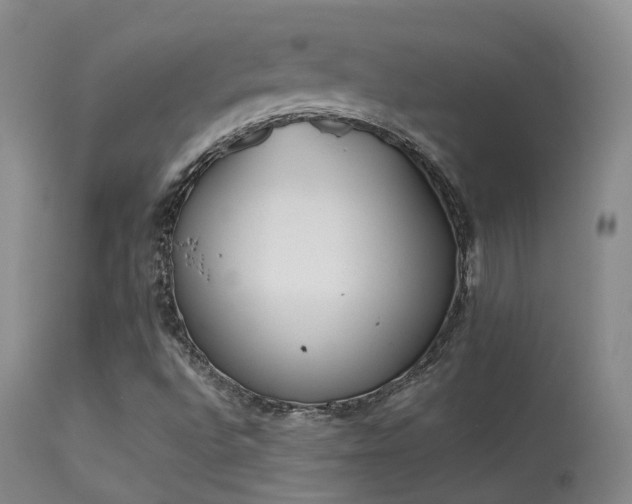 X0000113261496200909171637