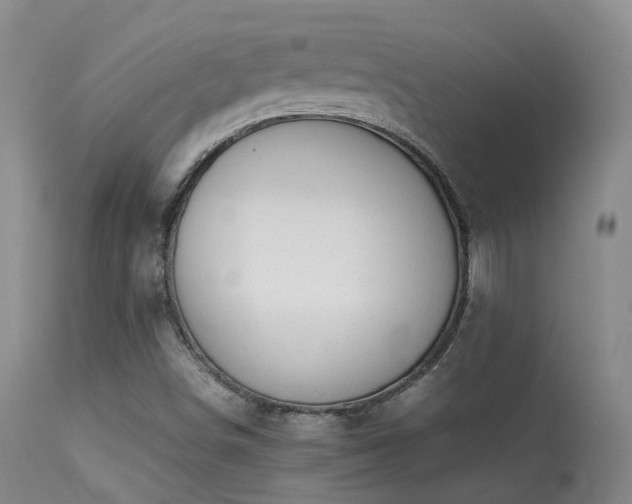 X0000113261498200909171637