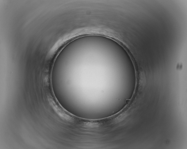 X0000113261499200909171637