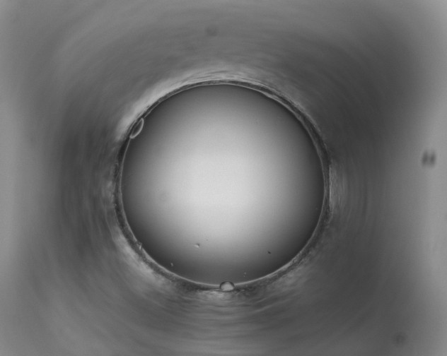 X0000113261500200909171637