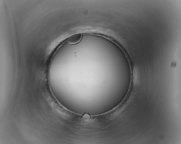 X0000113261501200909171637