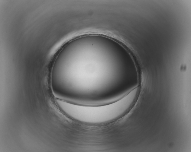 X0000113261502200909171637