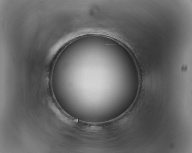 X0000113261503200909171637