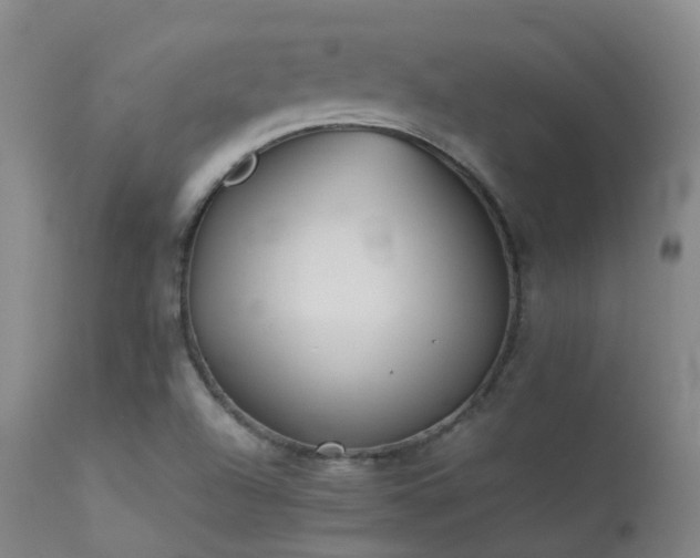 X0000113261504200909171637