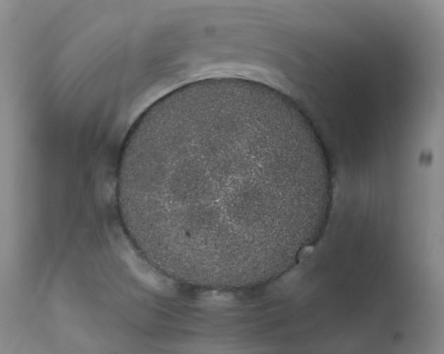 X0000113261505200909171637