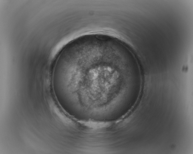 X0000113261506200909171637