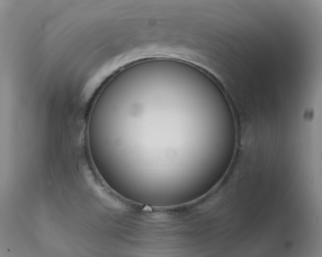 X0000113261507200909171637