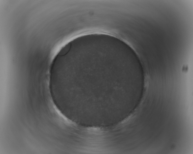 X0000113261508200909171637