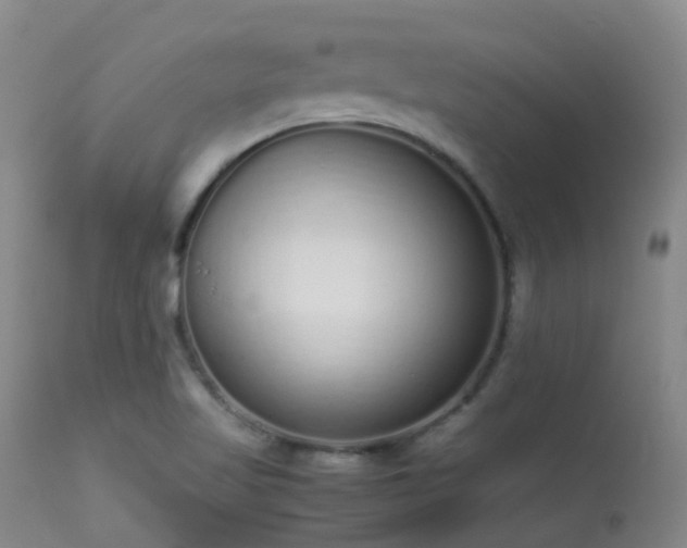 X0000113261509200909171637