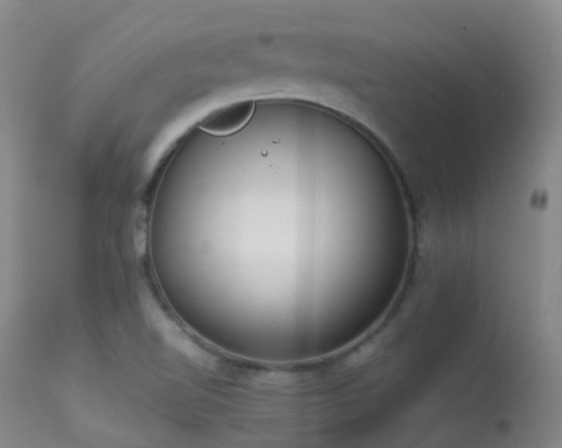 X0000113261510200909171637