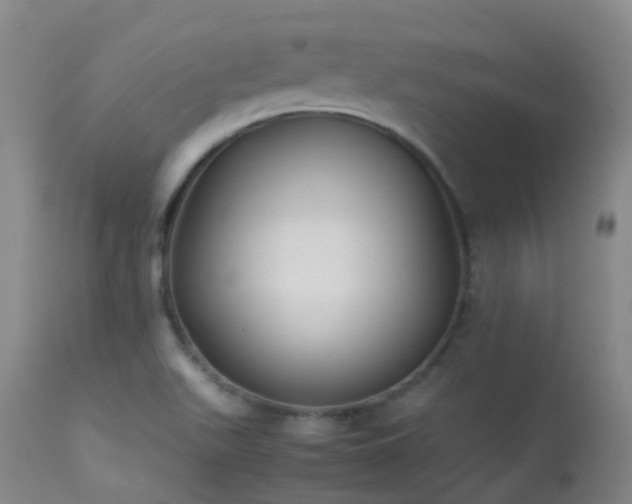 X0000113261511200909171637