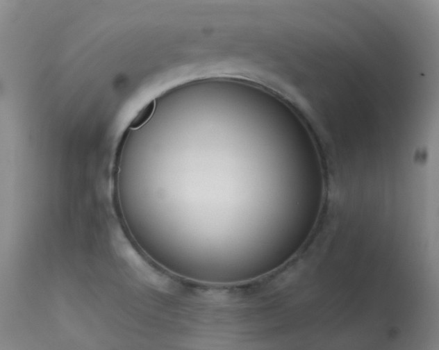 X0000113261512200909171637