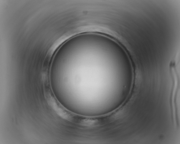 X0000113261513200909171637