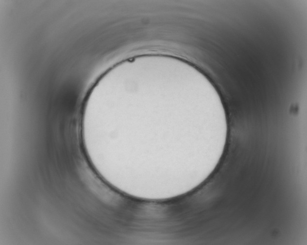 X0000113261514200909171637