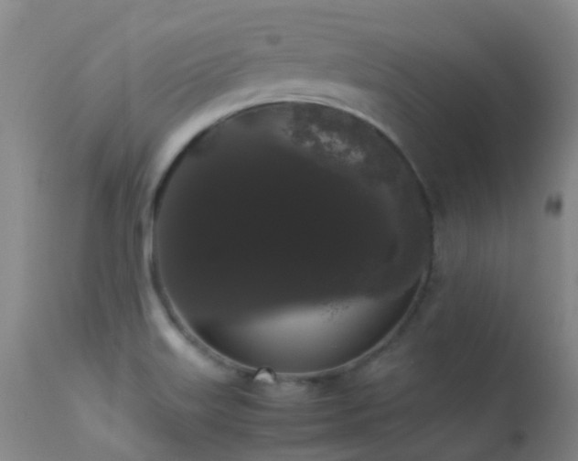 X0000113261515200909171637