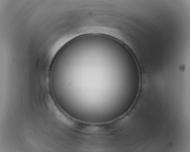 X0000113261517200909171637