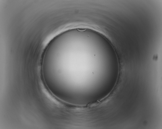 X0000113261518200909171637