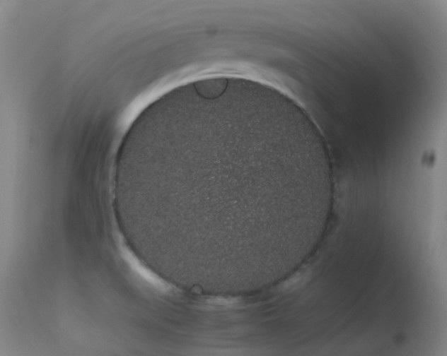 X0000113261519200909171637