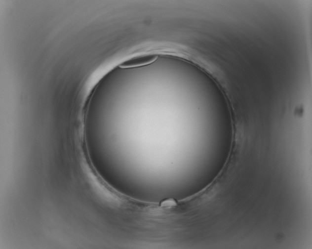 X0000113261520200909171637