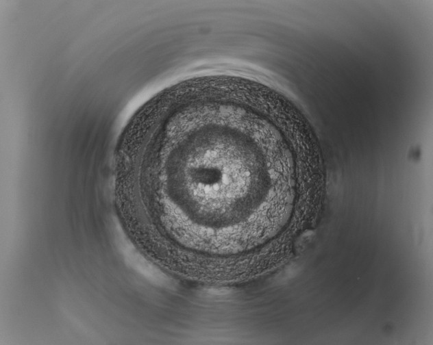 X0000113261522200909171637