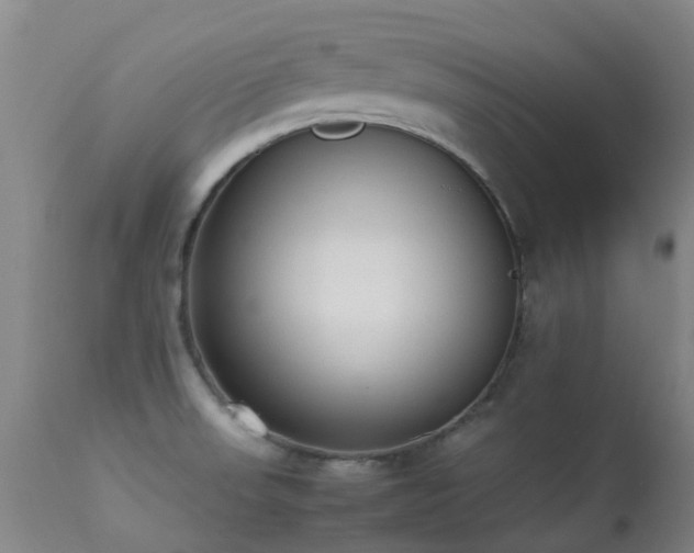 X0000113261523200909171637