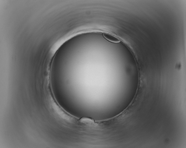 X0000113261524200909171637