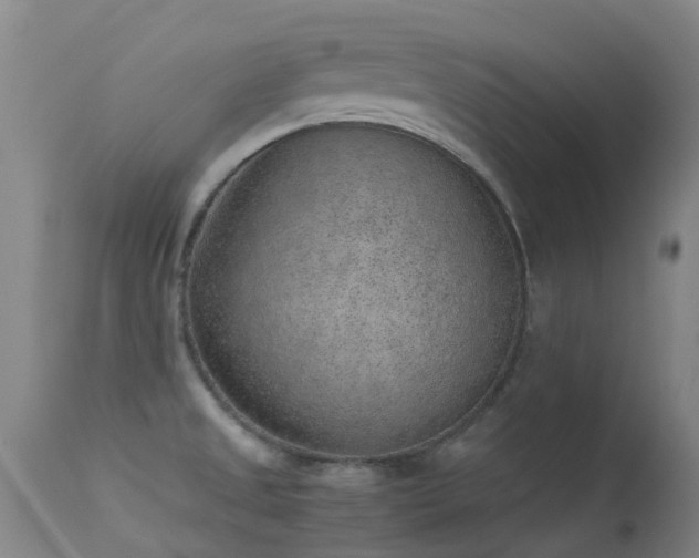 X0000113261525200909171637