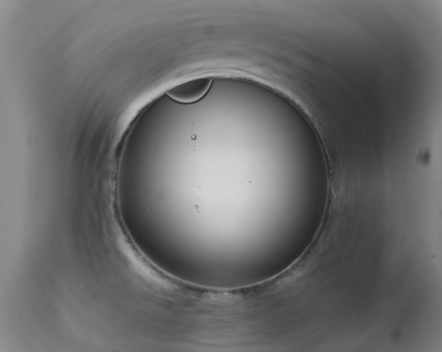 X0000113261526200909171637