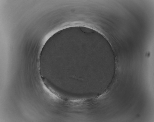 X0000113261527200909171637