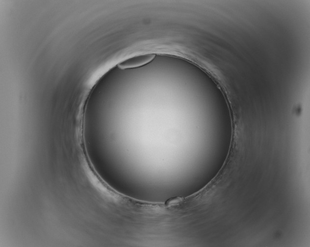 X0000113261528200909171637