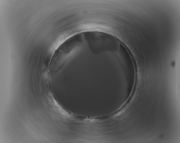 X0000113261529200909171637