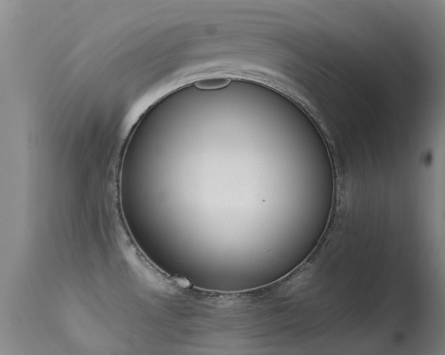 X0000113261530200909171638