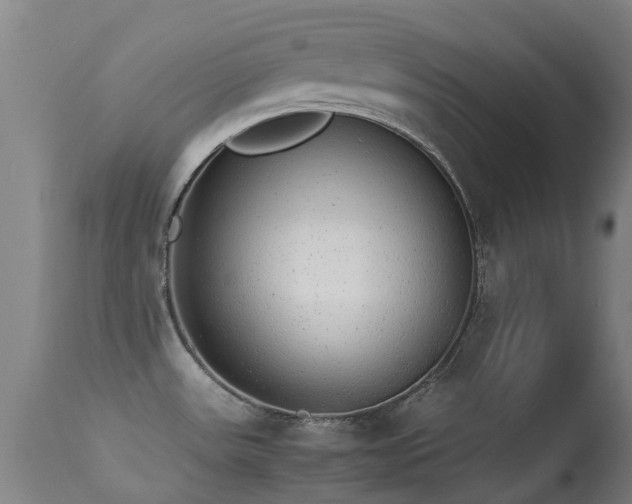 X0000113261531200909171638