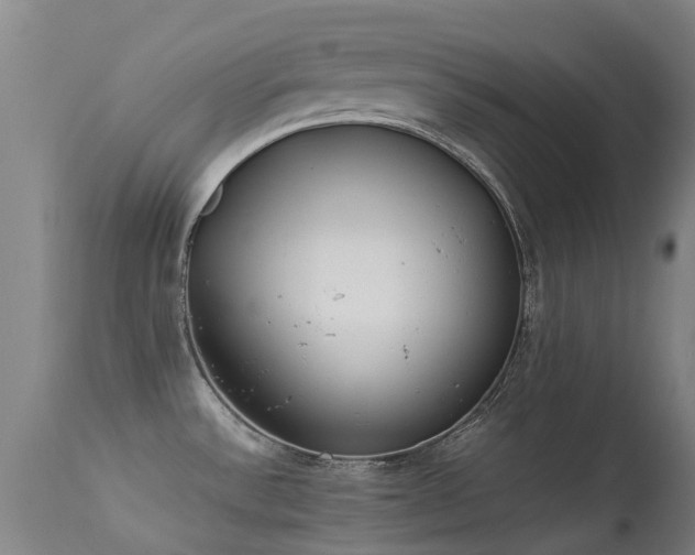 X0000113261532200909171638