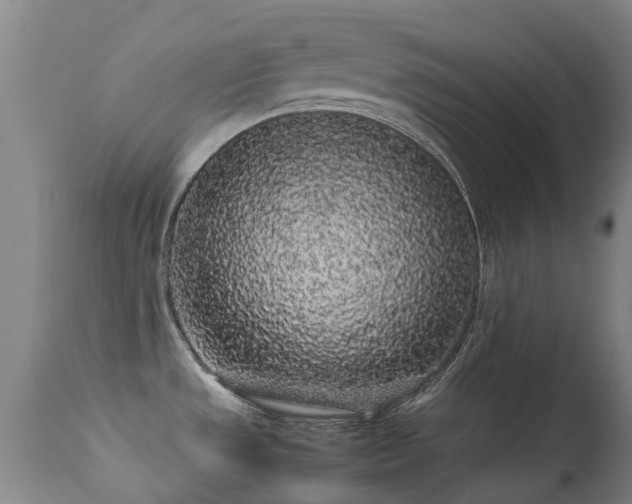 X0000113261533200909171638