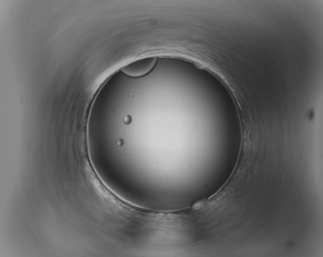 X0000113261534200909171638