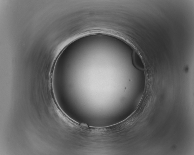 X0000113261535200909171638