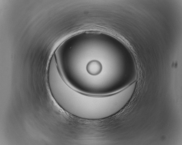 X0000113261536200909171638