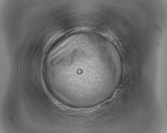 X0000113260001200909241532