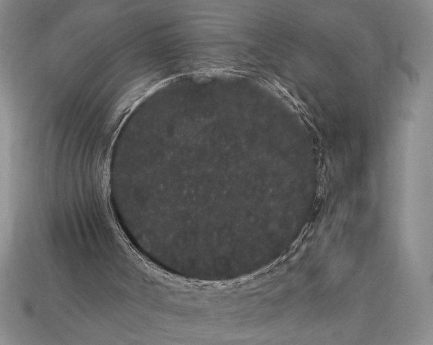 X0000113260002200909241532