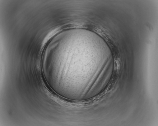 X0000113260004200909241532