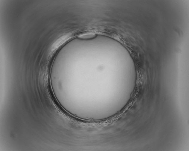 X0000113260005200909241532