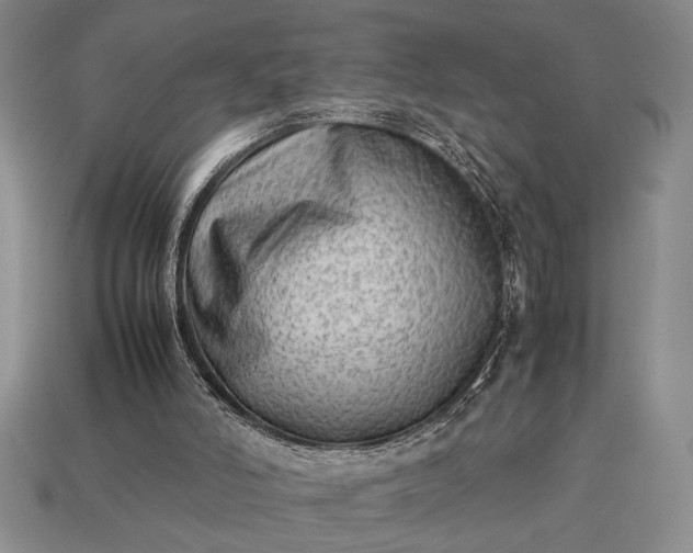 X0000113260006200909241532