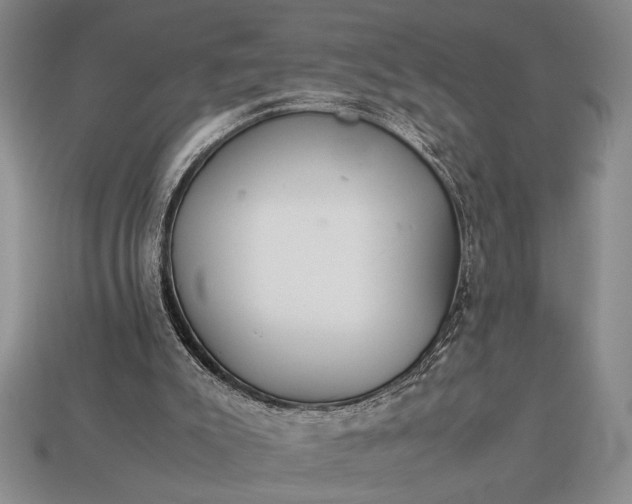 X0000113260007200909241532