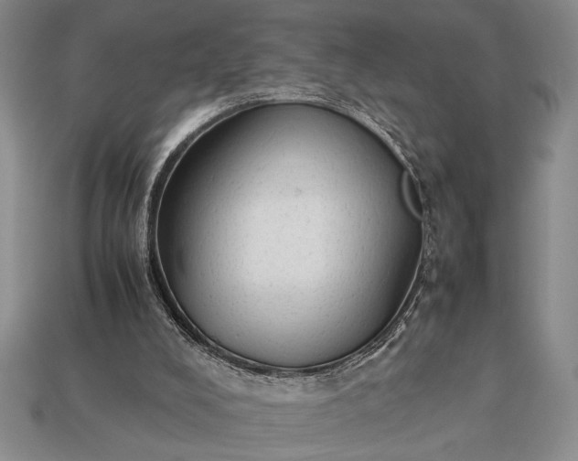 X0000113260008200909241532