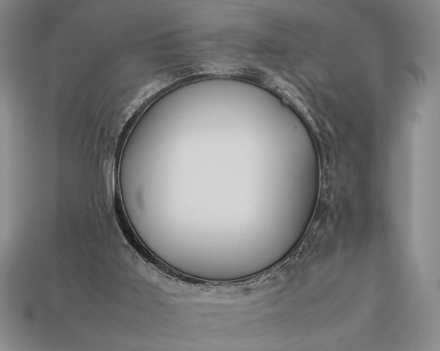 X0000113260011200909241532