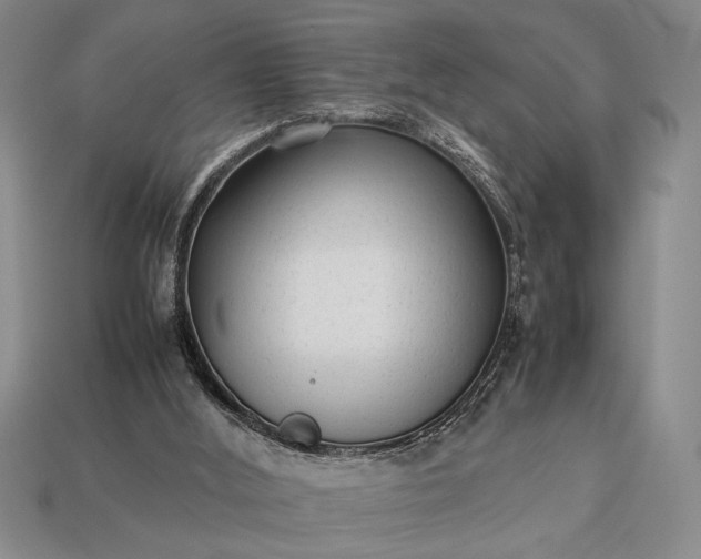 X0000113260012200909241532