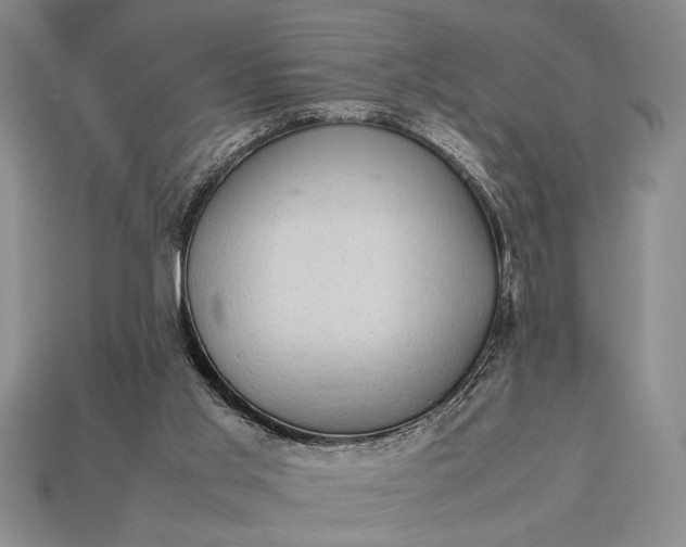 X0000113260013200909241532